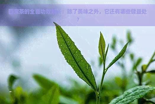 四宝茶的全面功效解析：除了美味之外，它还有哪些健康益处？