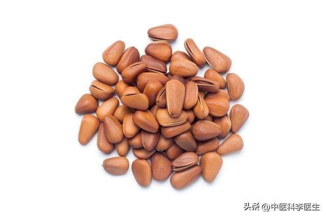 一颗松子五味药？松子的药用功效和食用禁忌，很多人不知道