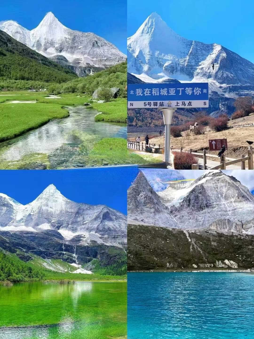 成都5天4晚亲子游：深度探访熊猫基地，感受天府文化魅力