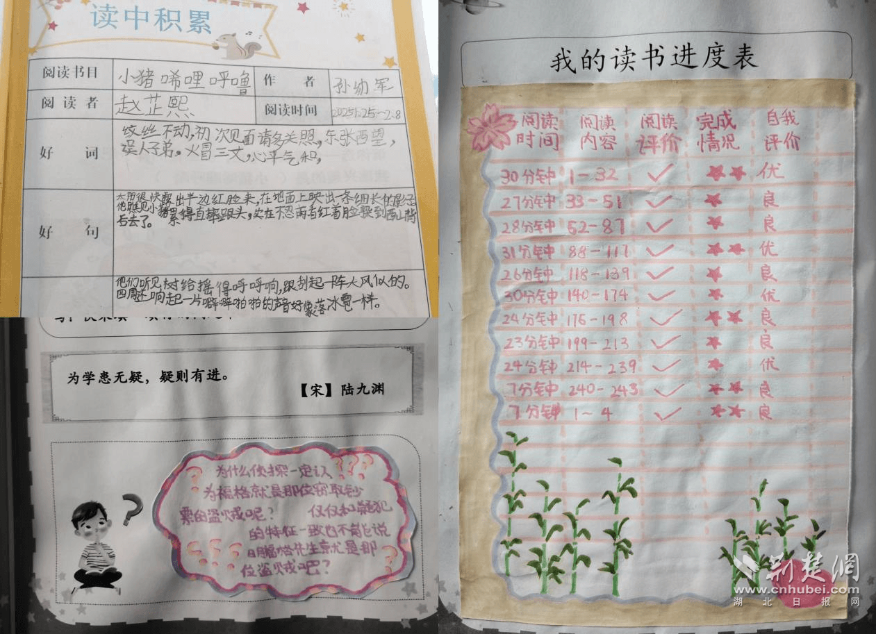 小学生特色寒假作业解锁成长新姿势