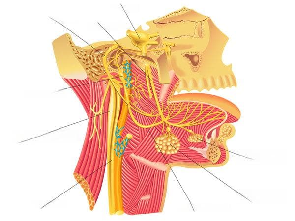 眶下神经受损的症状是什么