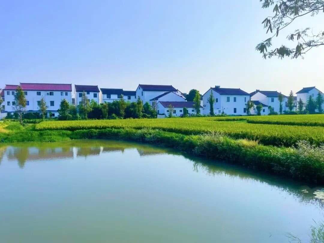 小柴胡汤系列及其合方的临证运用（临证实战）
