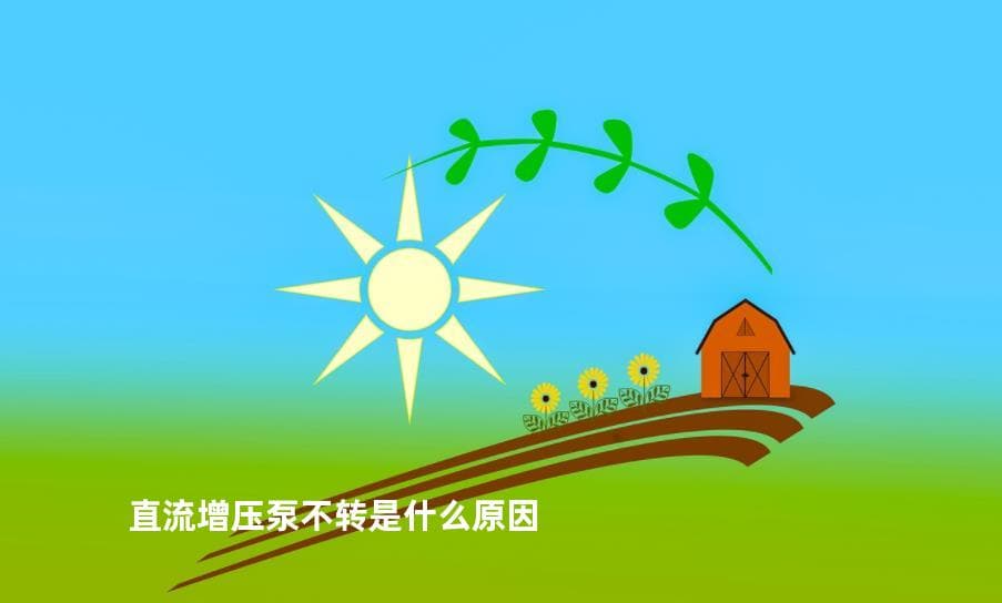 直流增压泵不转的常见原因及解决方法
