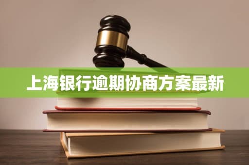 上海银行逾期协商方案最新
