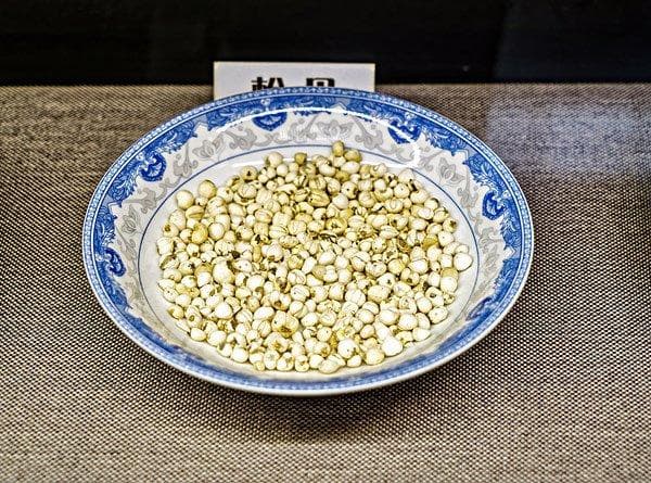 止咳化痰中药都有哪些