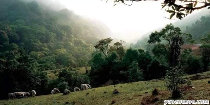 探索多彩民族风情与自然奇观-云南德宏旅游攻略