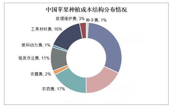 2024年苹果行业现状分析：全国苹果总产量达到4960.17万吨