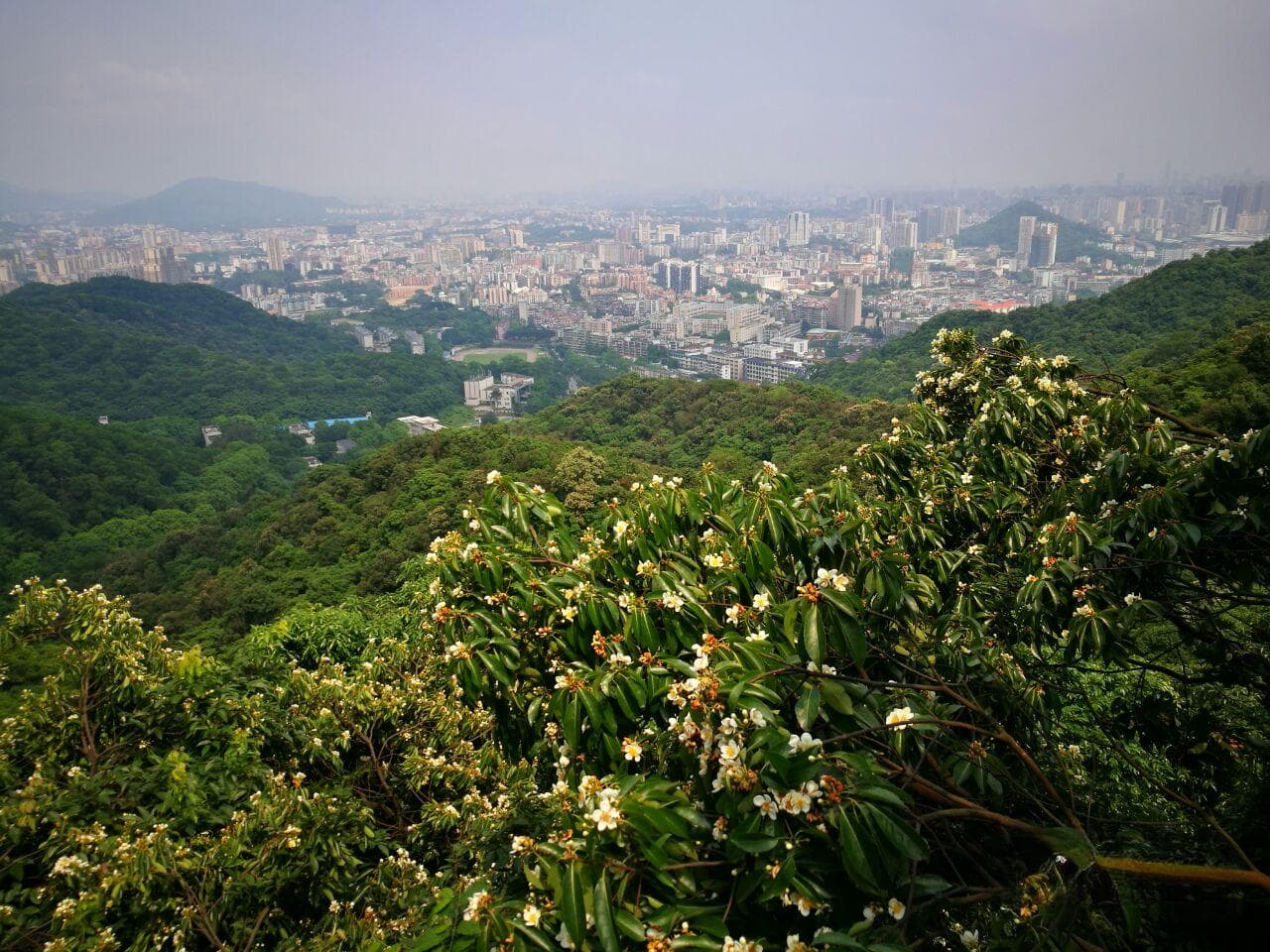 广州白云区旅游攻略：必去景点推荐