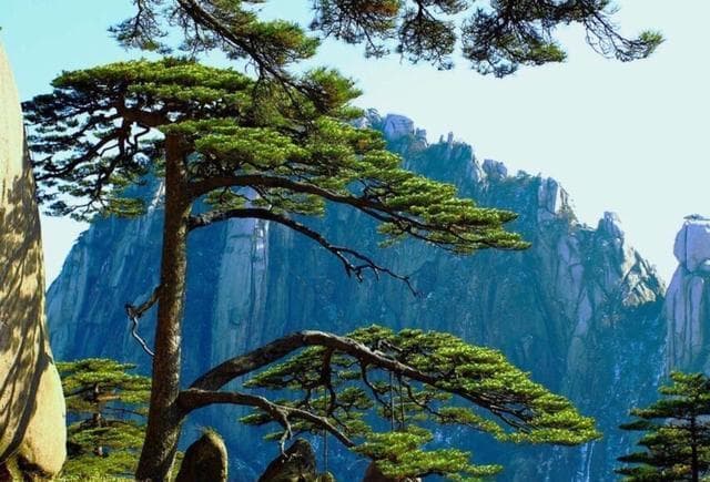 风景迷人的黄山, 四季风光各不同!