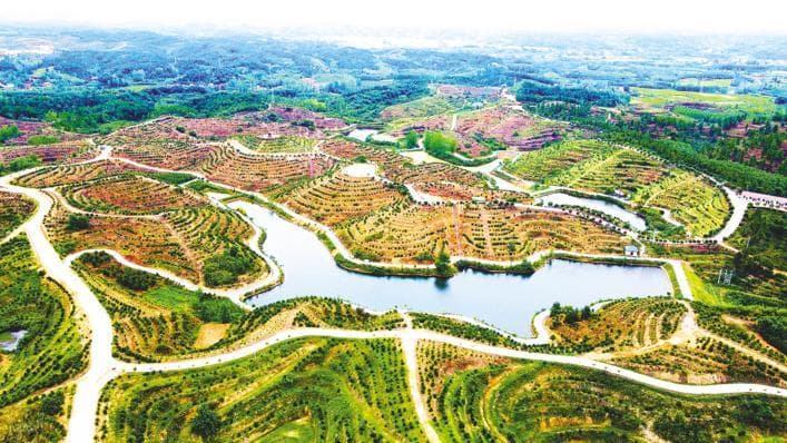 湖北水土流失面积减少640平方公里，262条生态小流域功不可没
