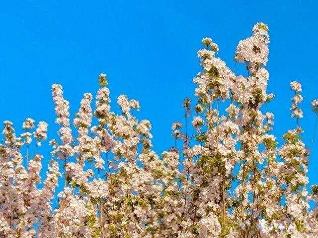 提升个人气质的15个实用建议