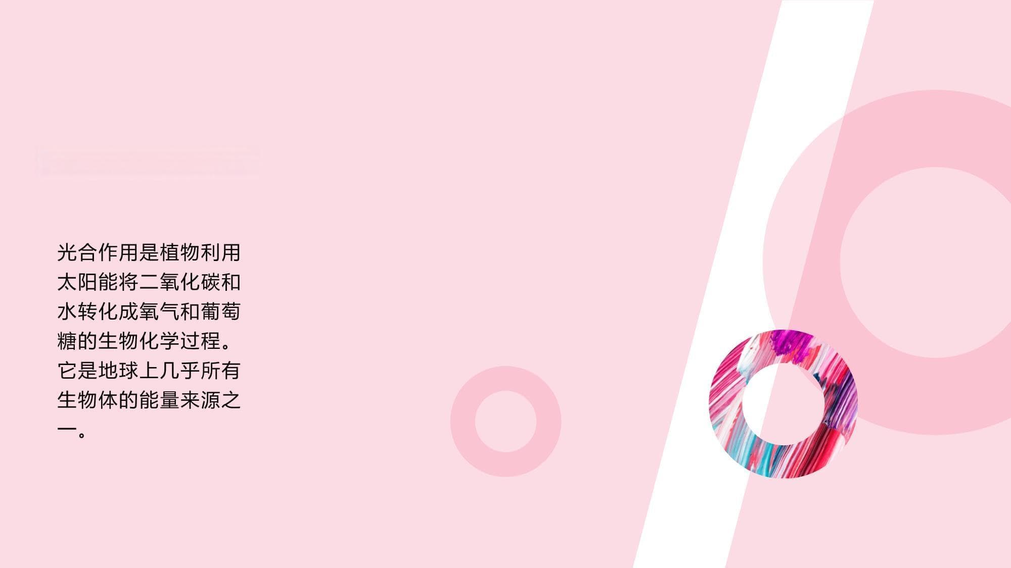 光合作用与碳循环
