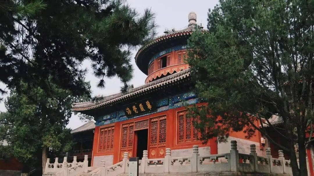 大钟寺古钟博物馆：回荡六百年的钟声