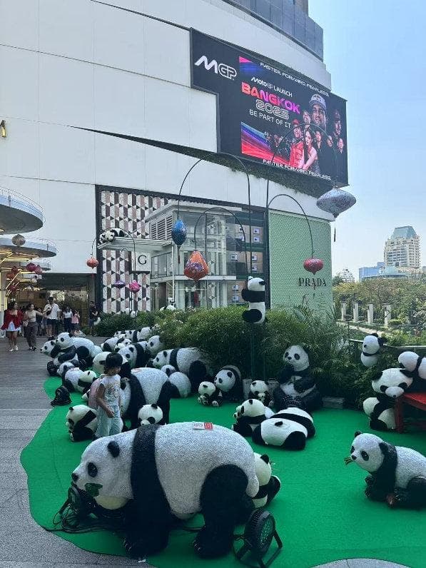 当熊猫遇见大象：中国入境游应当向泰国学习什么