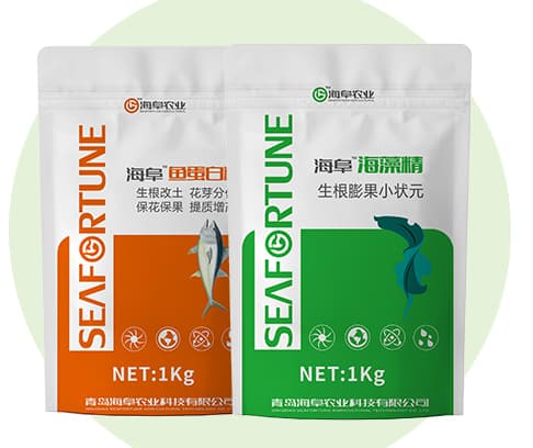 槟榔开花结果时需要怎么施肥？施肥管理经验分享