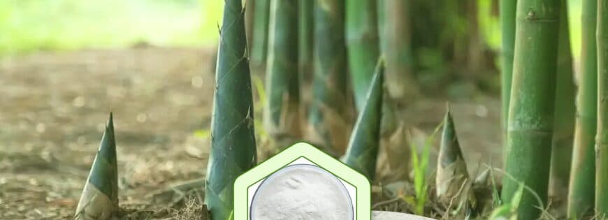 竹子的宝藏：揭开竹笋提取物可能的健康功效
