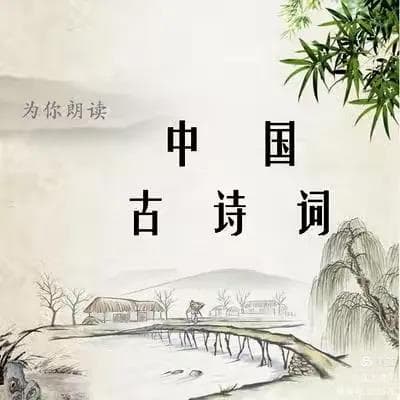 《人民日报》评选的古诗词第一名：《水调歌头·明月几时有》