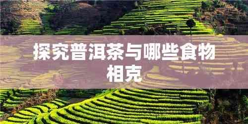 探究普洱茶与哪些食物相克