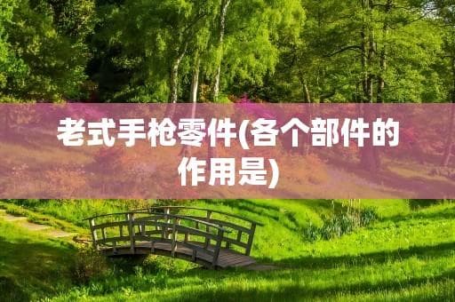 老式手枪零件详解：六大部件的功能与作用