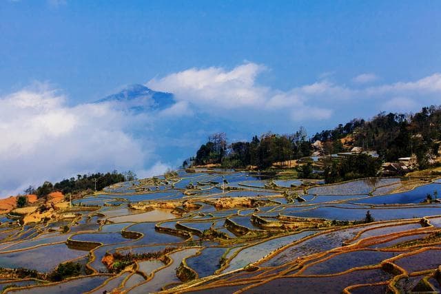 元江旅游攻略：七大必去景点详解