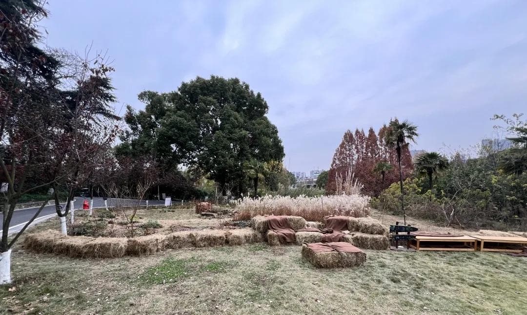 宁波滑蜥的专属“晒台”：一场城市生物多样性的暖心实践