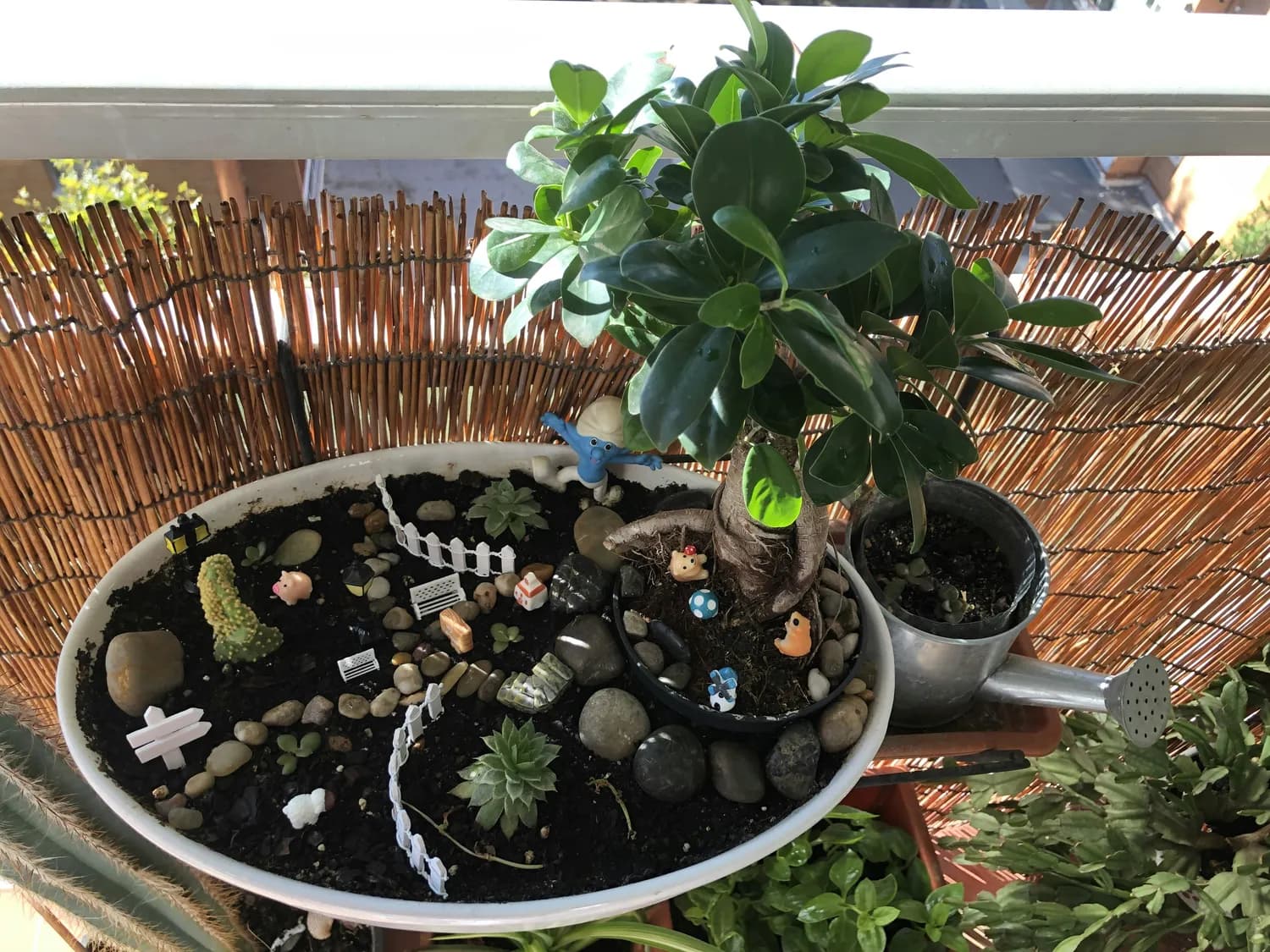 废旧物品变花盆，幼儿园种植活动里的环保教育