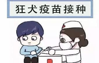 被狗咬伤后，该如何自救和处理？