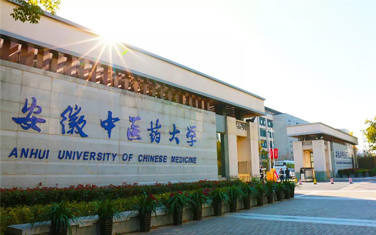 2025年安徽中医药大学学科排名（全国第四轮评估结果)
