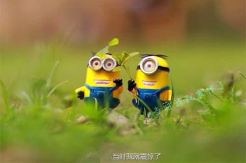 精选52个创意拟人网名，总有一个适合你