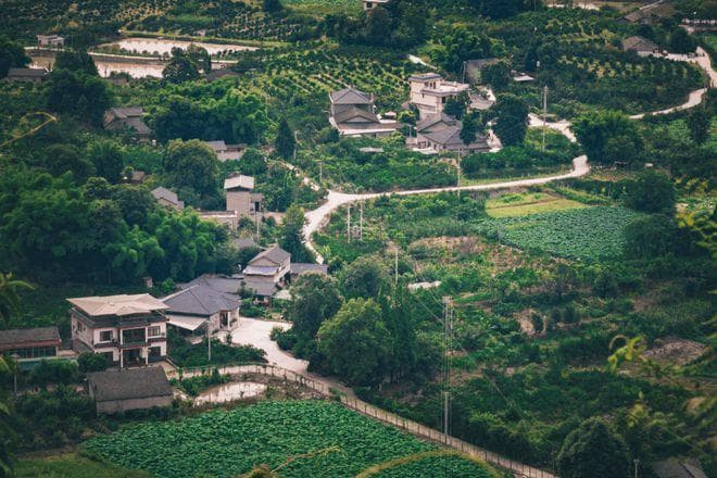 【民俗】年猪宴里的新津味