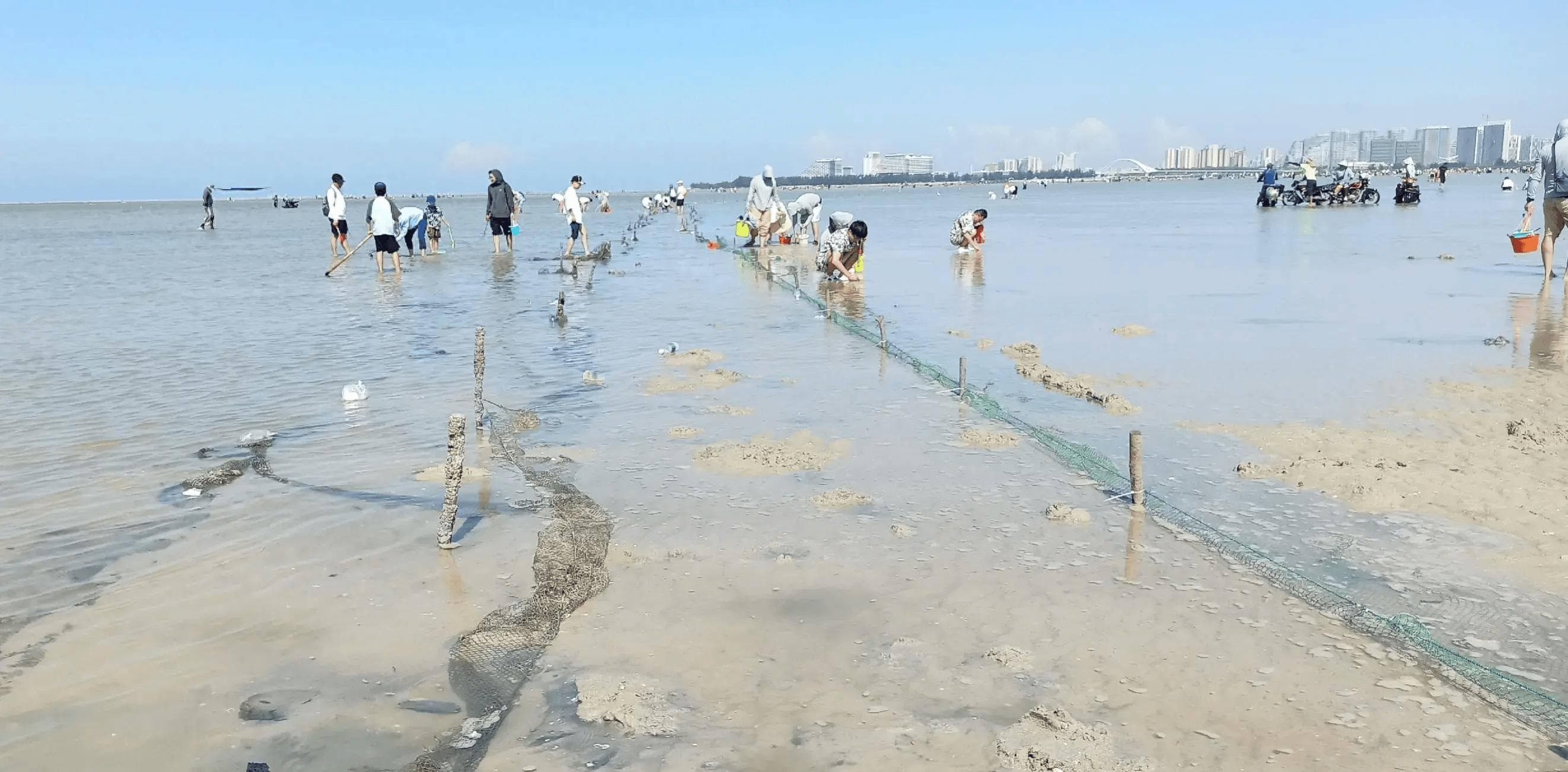 北海滩涂赶海记：从娱乐到生计的海洋盛宴