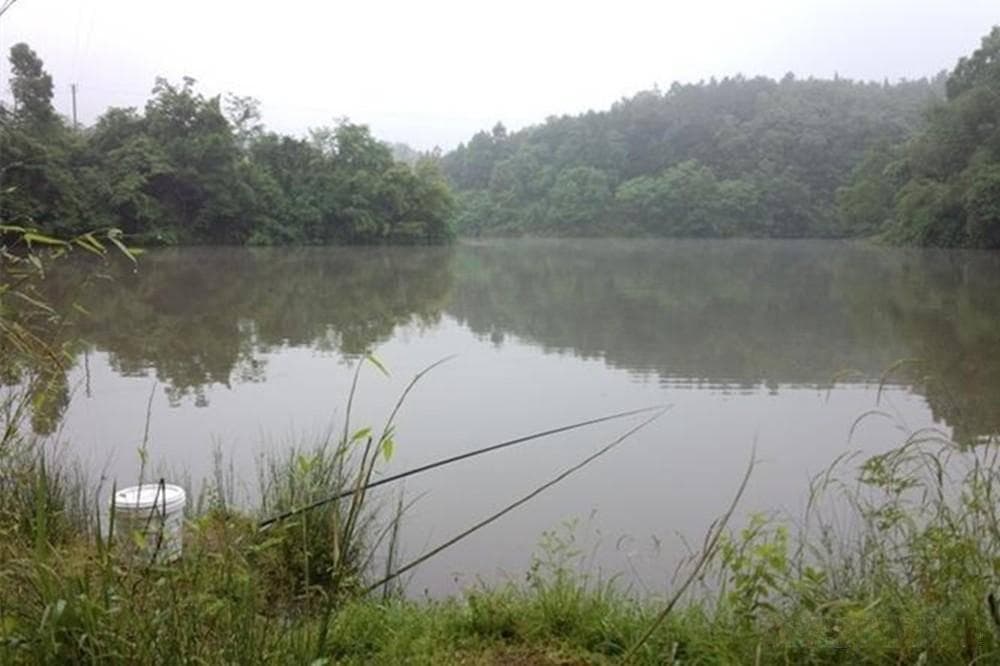 飞铅钓详解：打浮最强势方法，不会钓浮鱼获少一半