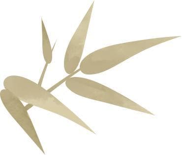 立“脊”出击，打破青少年脊柱健康误区