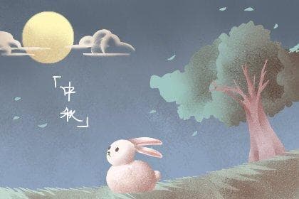柚子的花语和寓意