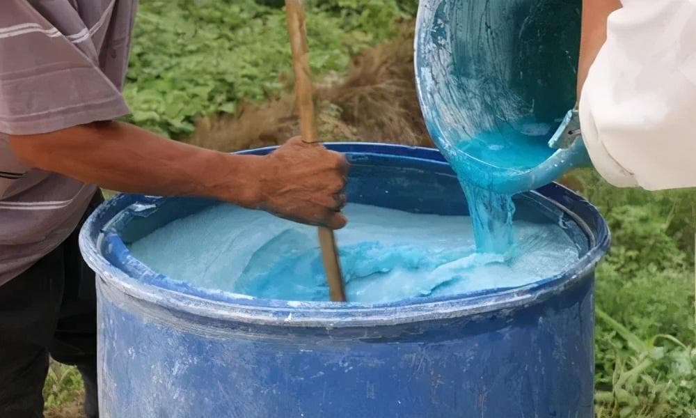 波尔多液的正确配制方法及使用注意事项