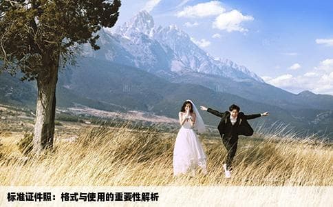 标准证件照拍摄指南：尺寸、格式与使用场景全解析