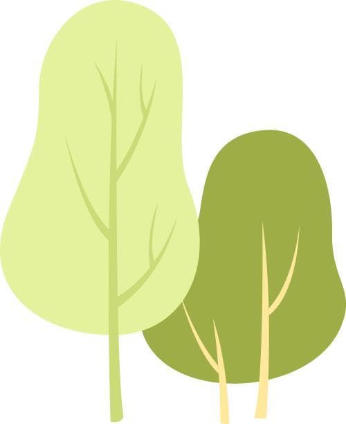 儿童该如何制定运动计划，科学减重