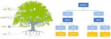 决策树的实用指南：算法、应用与实验