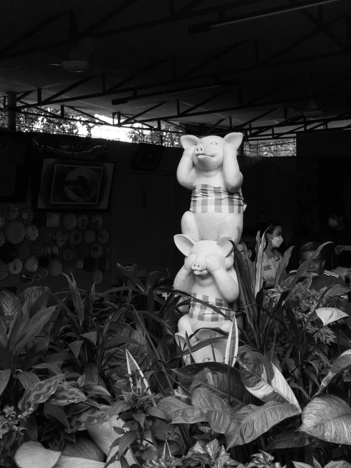 《小猪唏哩呼噜》读后感写作秘籍