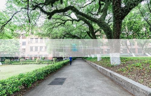 粳米是糯米吗？解读二者的区别与联系