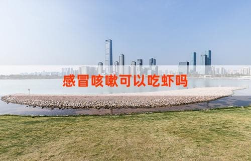 感冒咳嗽可以吃虾吗？解析虾类食物与感冒咳嗽的关系
