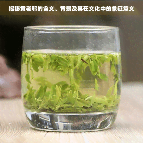 揭秘黄老邪的含义、背景及其在文化中的象征意义