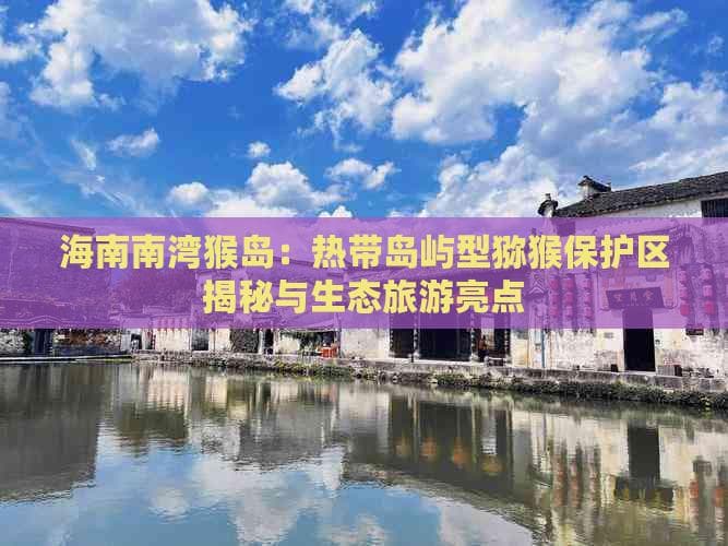 海南南湾猴岛：热带岛屿型猕猴保护区揭秘与生态旅游亮点