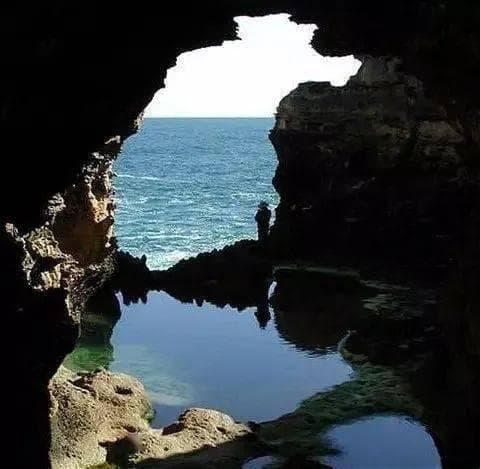 中国的海岸类型，微专题：季风环流