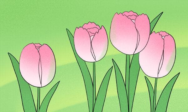 红楼梦主要内容概括100字 有哪些经典情节