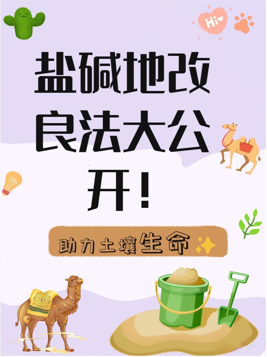 盐碱地改良最好方法