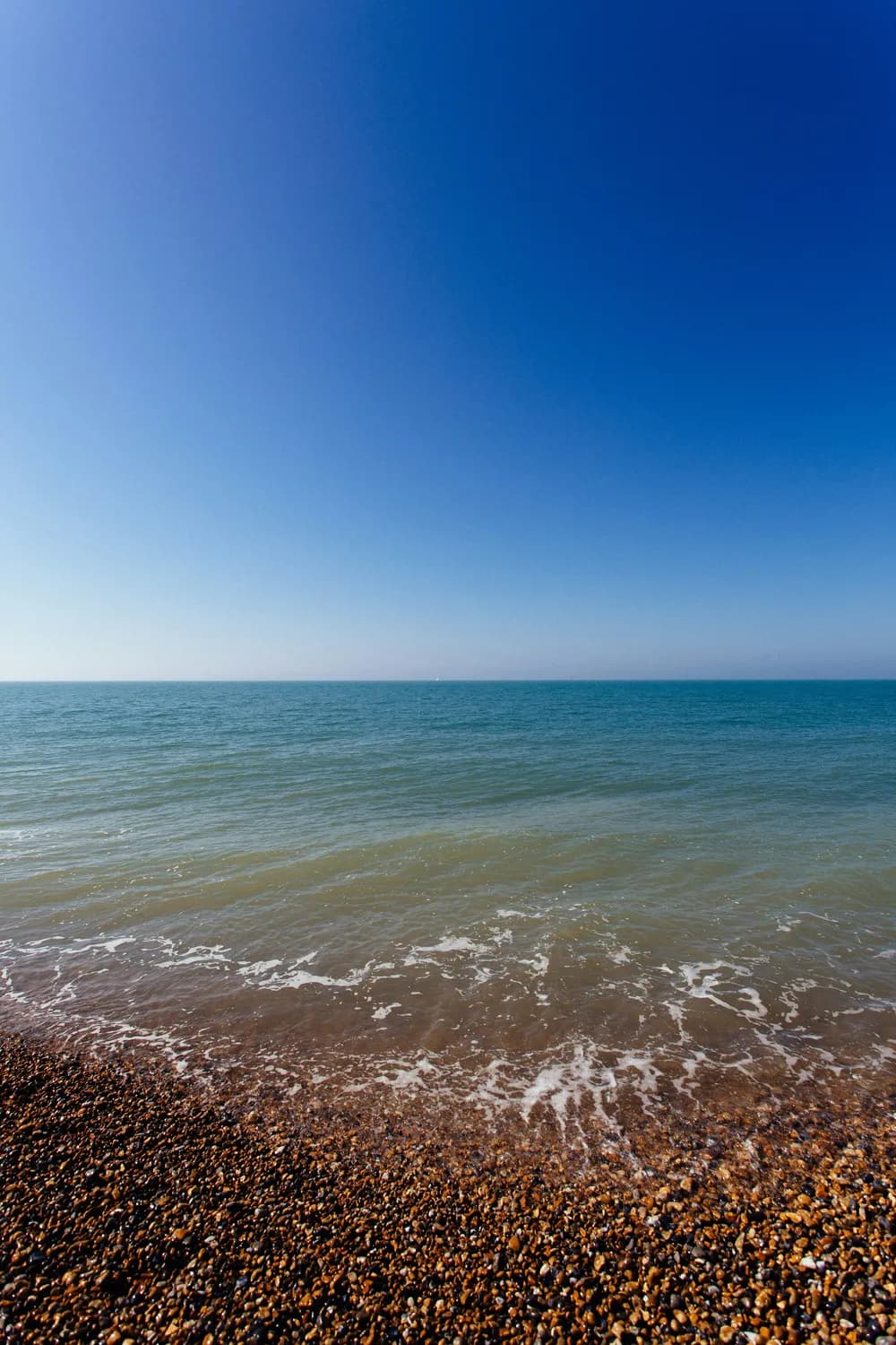 青海湖夏季避暑胜地：油菜花海、候鸟天堂与绝美日落