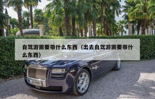 自驾游需要带什么东西（出去自驾游需要带什么东西）