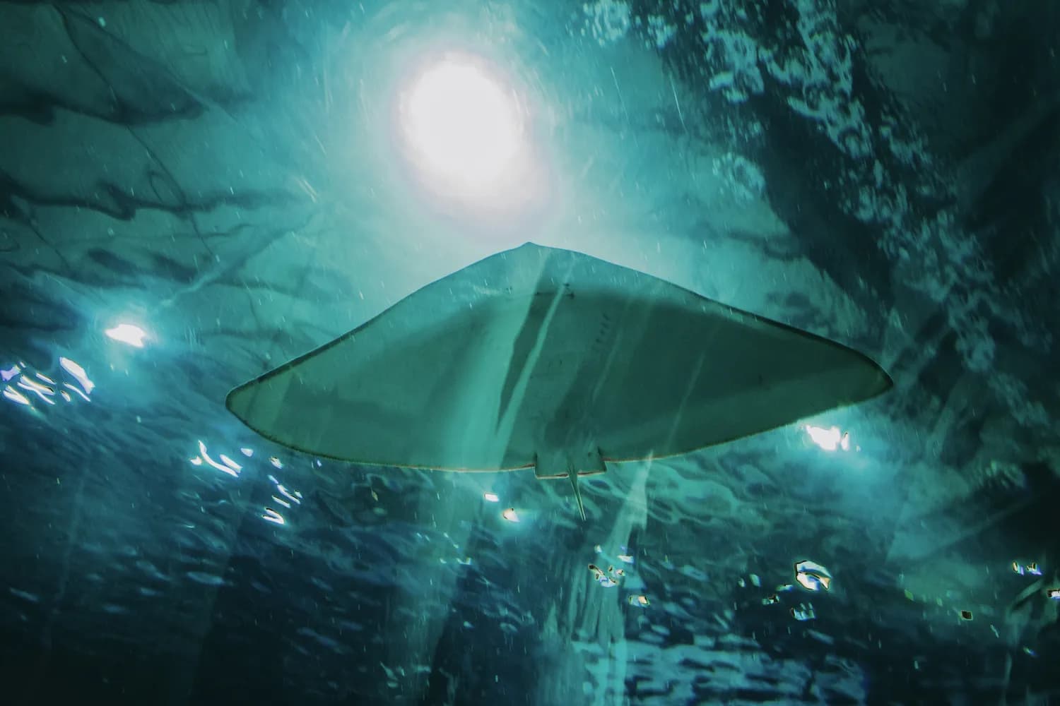 NASA最新UFO报告：未发现外星生命证据，但AI将助力揭秘