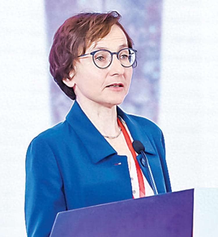 德国汉学家夏玉婷：德国只有5个人研究商周考古，希望更多人认识盘龙城遗址